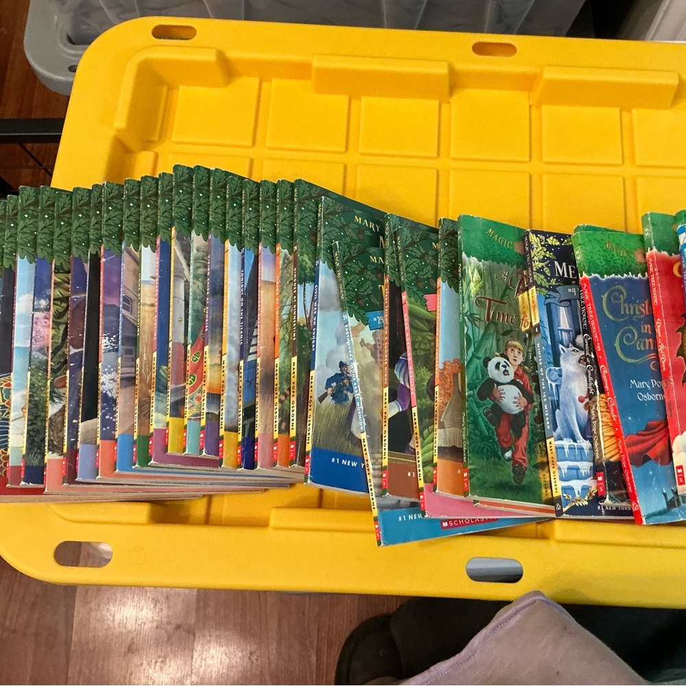 Magic treehouse book lot of 34 books